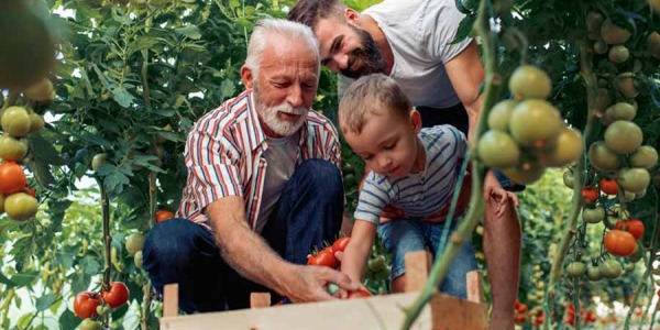 Le potager, une vraie passion !